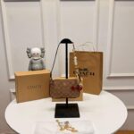 first copy coach nolita 19 canvas bag